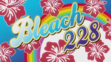 Bleach 1x228