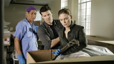 Bones 1x19