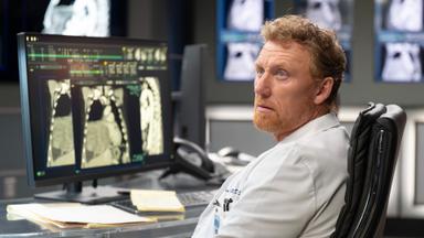 Anatomía según Grey 22x8