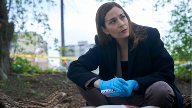 La Ley y el Orden Toronto: Intento Criminal 3x1