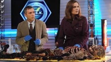 Bones 7x12