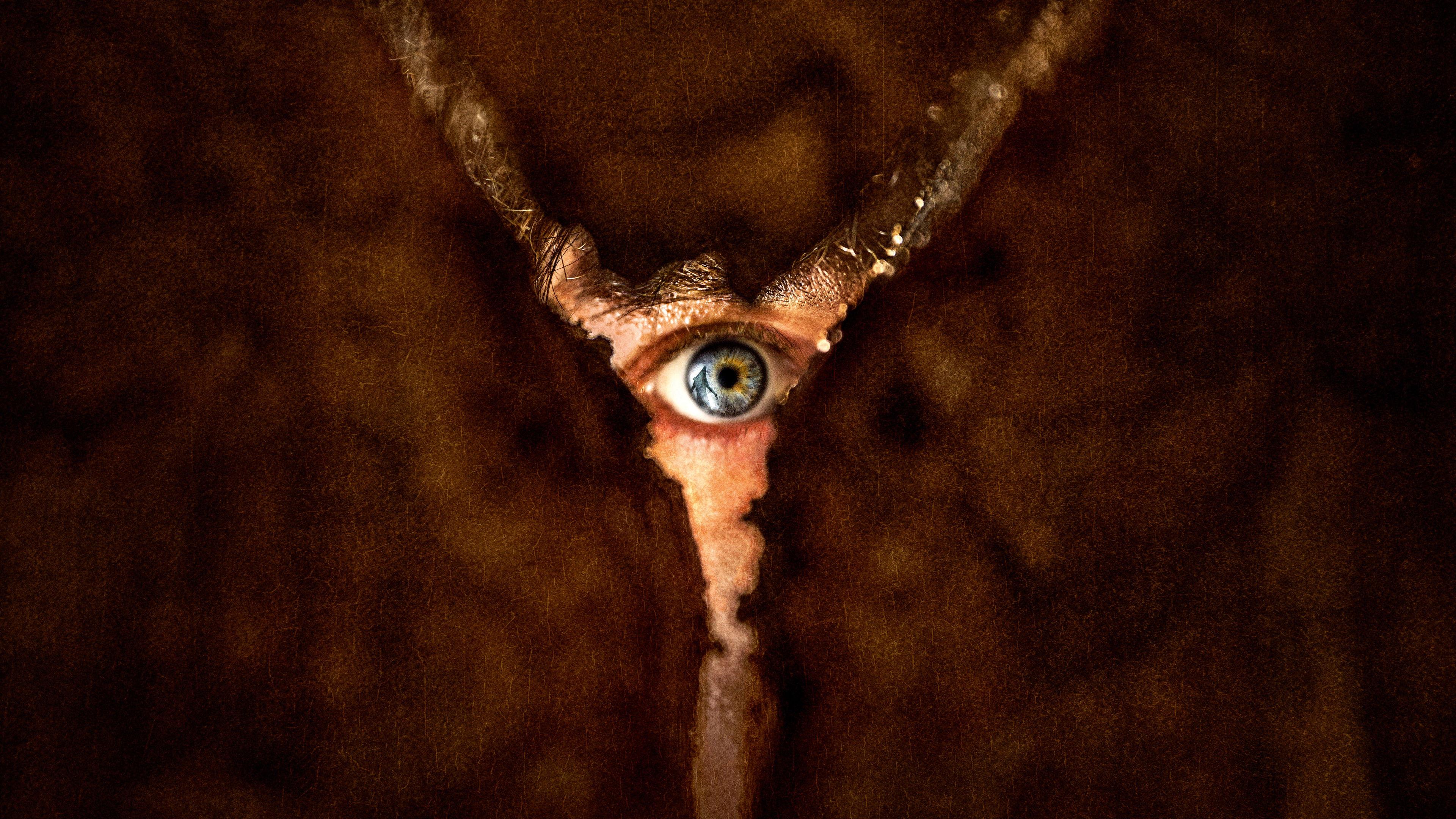 Terror en Silent Hill: Regreso al infierno