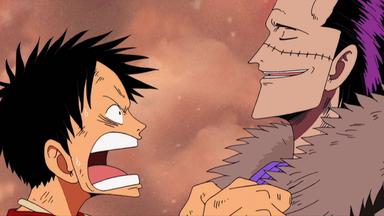 One Piece 4x110