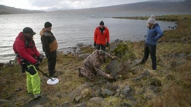 El oro pirata de la isla de Adak 1x8