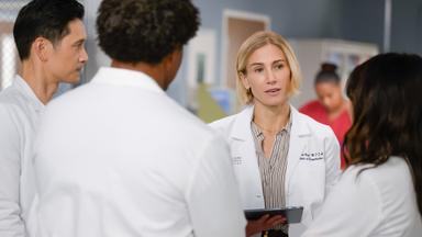 Anatomía según Grey 22x11