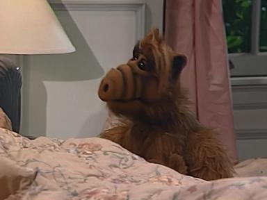 ALF 2x6