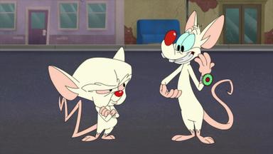 Animaniacs 2x8