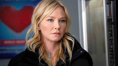 La Ley y el Orden: Unidad de Víctimas Especiales 23x20