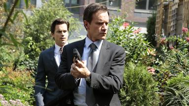 White Collar 5x9