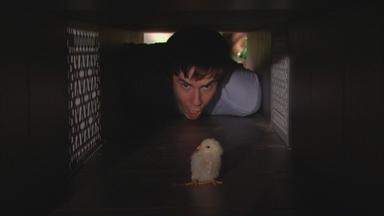 iCarly 1x16