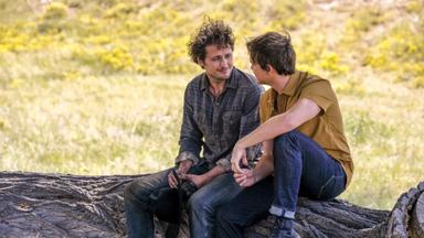 Roswell, Nuevo Mexico 2x4