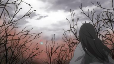 Mushishi 1x24