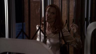 Esposas Desesperadas 2x17