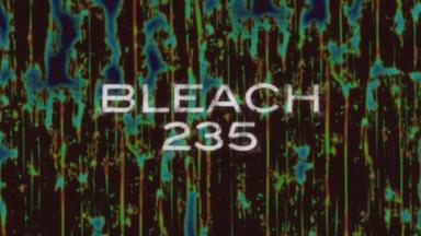 Bleach 1x235