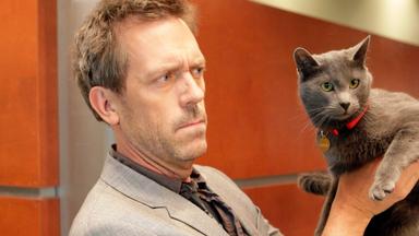 Dr. House 5x18