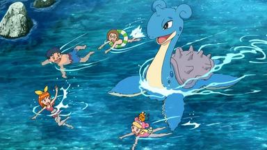 Pokémon 17x48