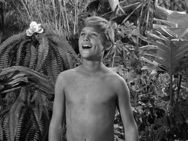 La isla de Gilligan 1x19