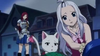 Fairy Tail 2x24