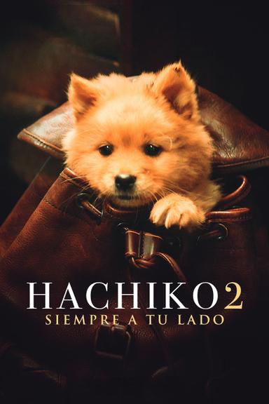 Siempre a tu lado - Hachiko 2