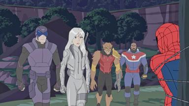 Spider-Man de Marvel 2x2