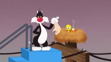 Looney Tunes Cartoons 4x8