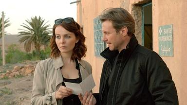 Transporter 2x3