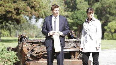 Bones 6x8