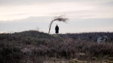 Doctor Who 1x4
