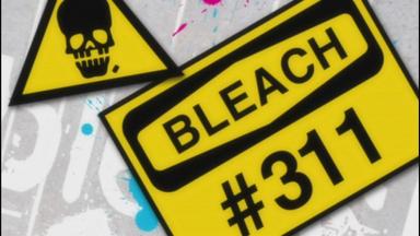 Bleach 1x311