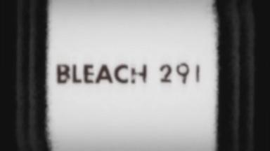 Bleach 1x291