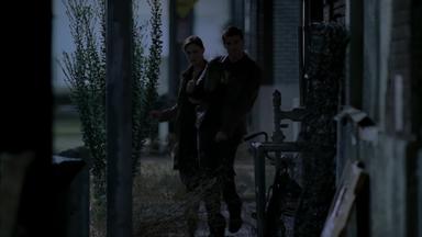 Bones 4x8