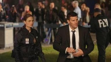 Bones 9x4