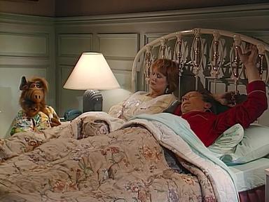 ALF 2x2