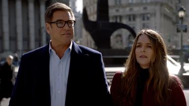 Bull 6x17