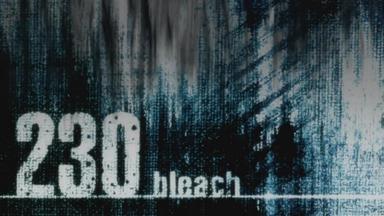 Bleach 1x230