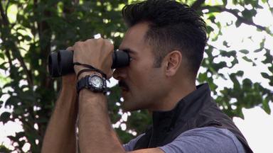 El Señor de los Cielos 3x39