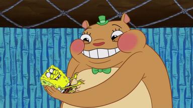 Bob Esponja 11x13
