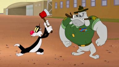 Looney Tunes Cartoons 2x1