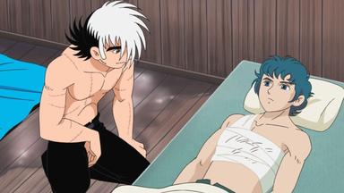 Black Jack 21 1x36