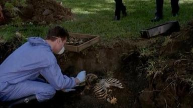 Mentes Criminales 9x9