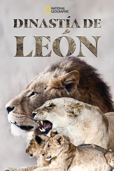 Lion Dynasty